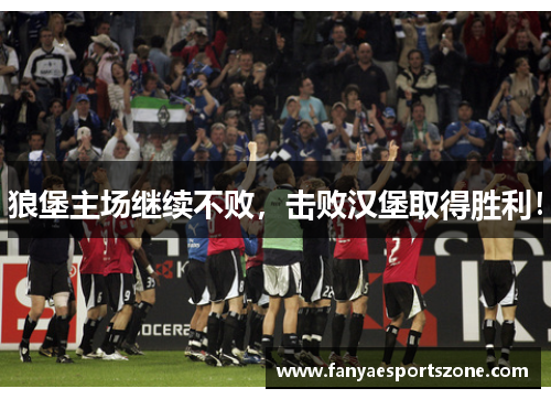 狼堡主场继续不败，击败汉堡取得胜利！
