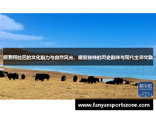 探索阿拉巴的文化魅力与自然风光，感受独特的历史韵味与现代生活交融